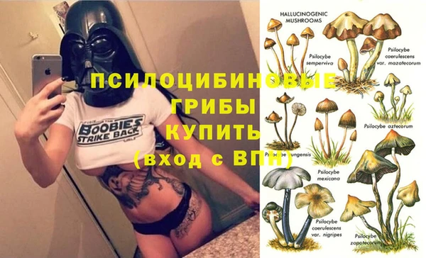 сатива Алексеевка