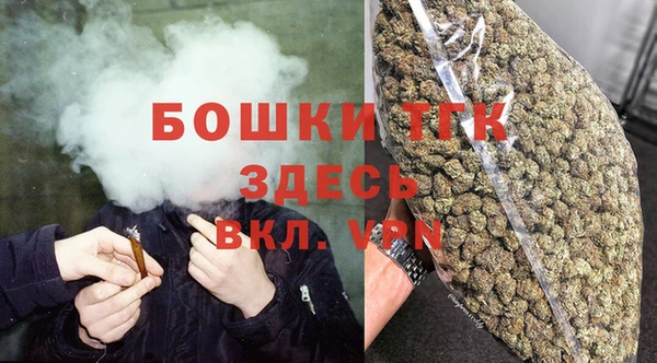 сатива Алексеевка