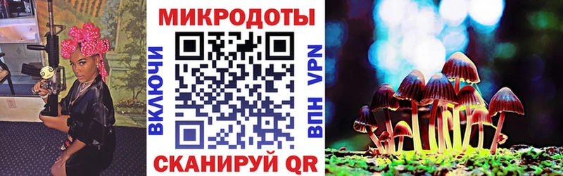 Галлюциногенные грибы Psilocybine cubensis  Джанкой 