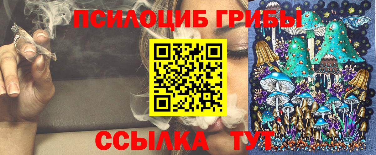 Псилоцибиновые грибы Psilocybe Джанкой