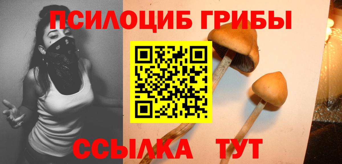 Джанкой  Галлюциногенные грибы Psilocybe  Вход с VPN 